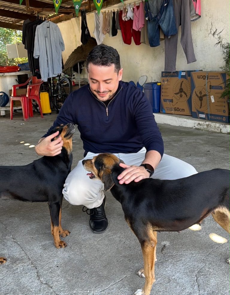 Câmara de Blumenau aprova projeto para apoiar protetores de animais